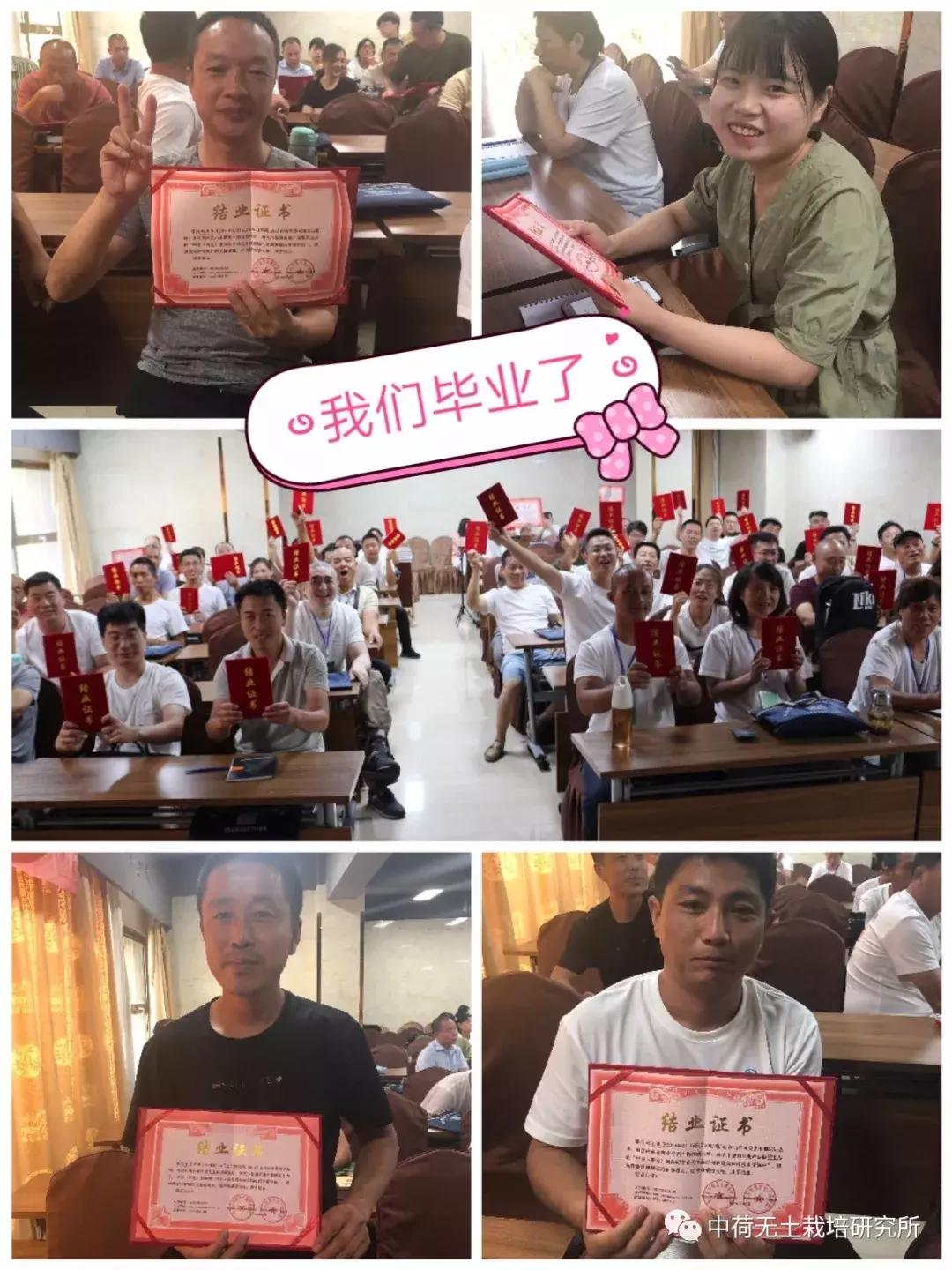 寿光无土栽培蔬菜技术培训书,寿光蔬菜无土栽培培训班