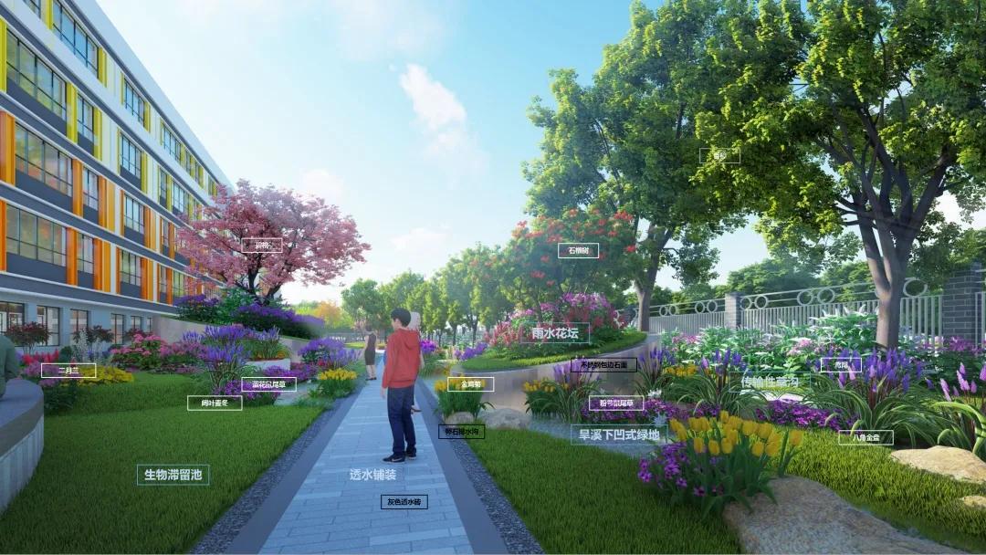 无锡连元街小学分校规划建在哪里,无锡最好的公办小学排名2021