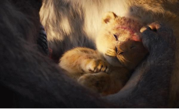 《狮子王》成年度面瘫巨制，但真有那么差吗？