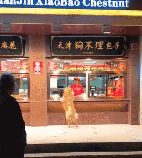 为什么连天津人都不推荐你吃狗不理