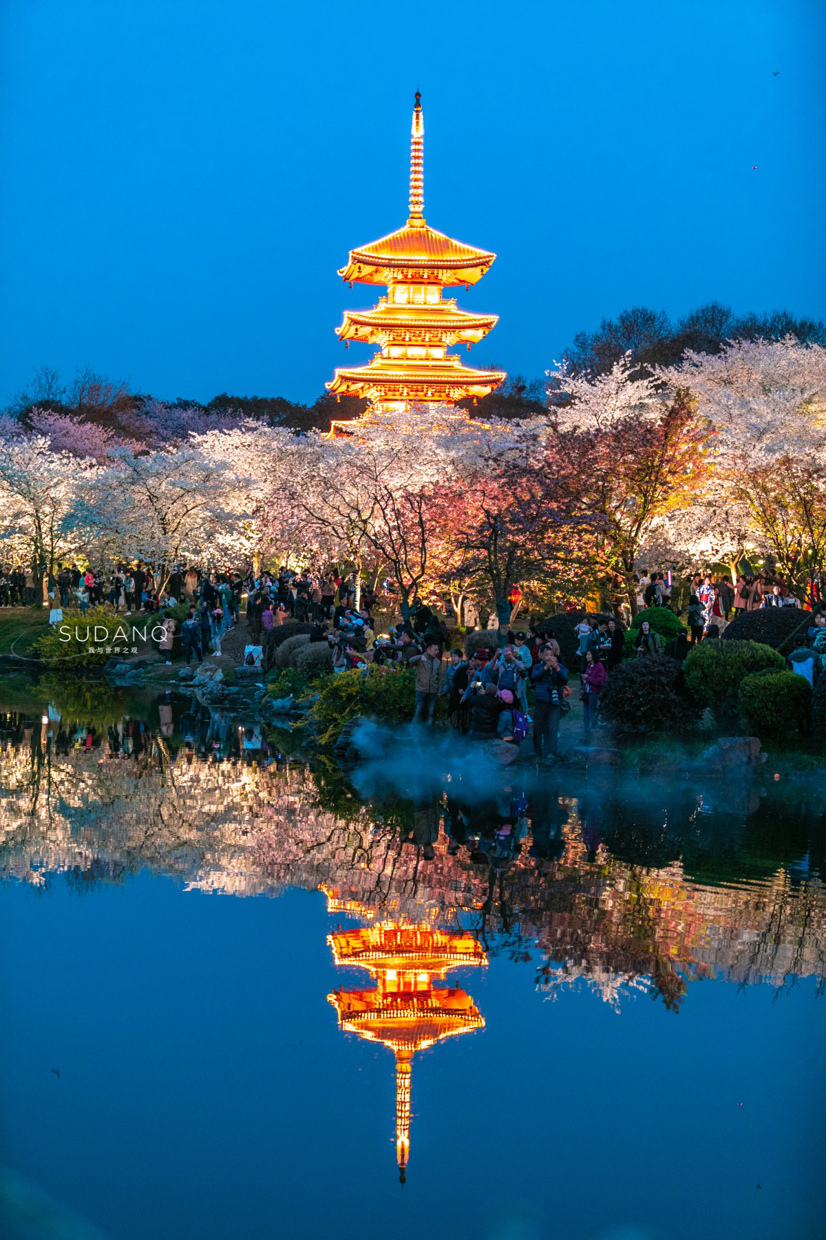 武汉这座城市有什么特点,一句话点评武汉楼市