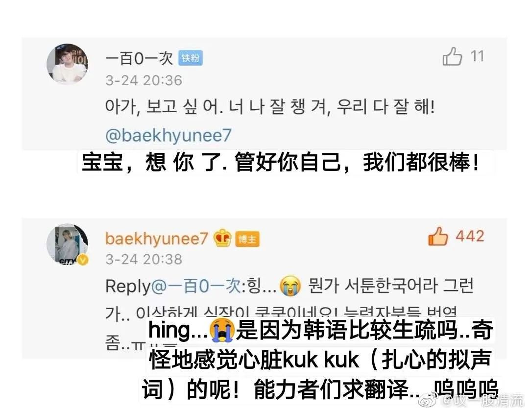 边伯贤发微博宠粉？N号房间主犯装自杀？P社起诉周洁琼？