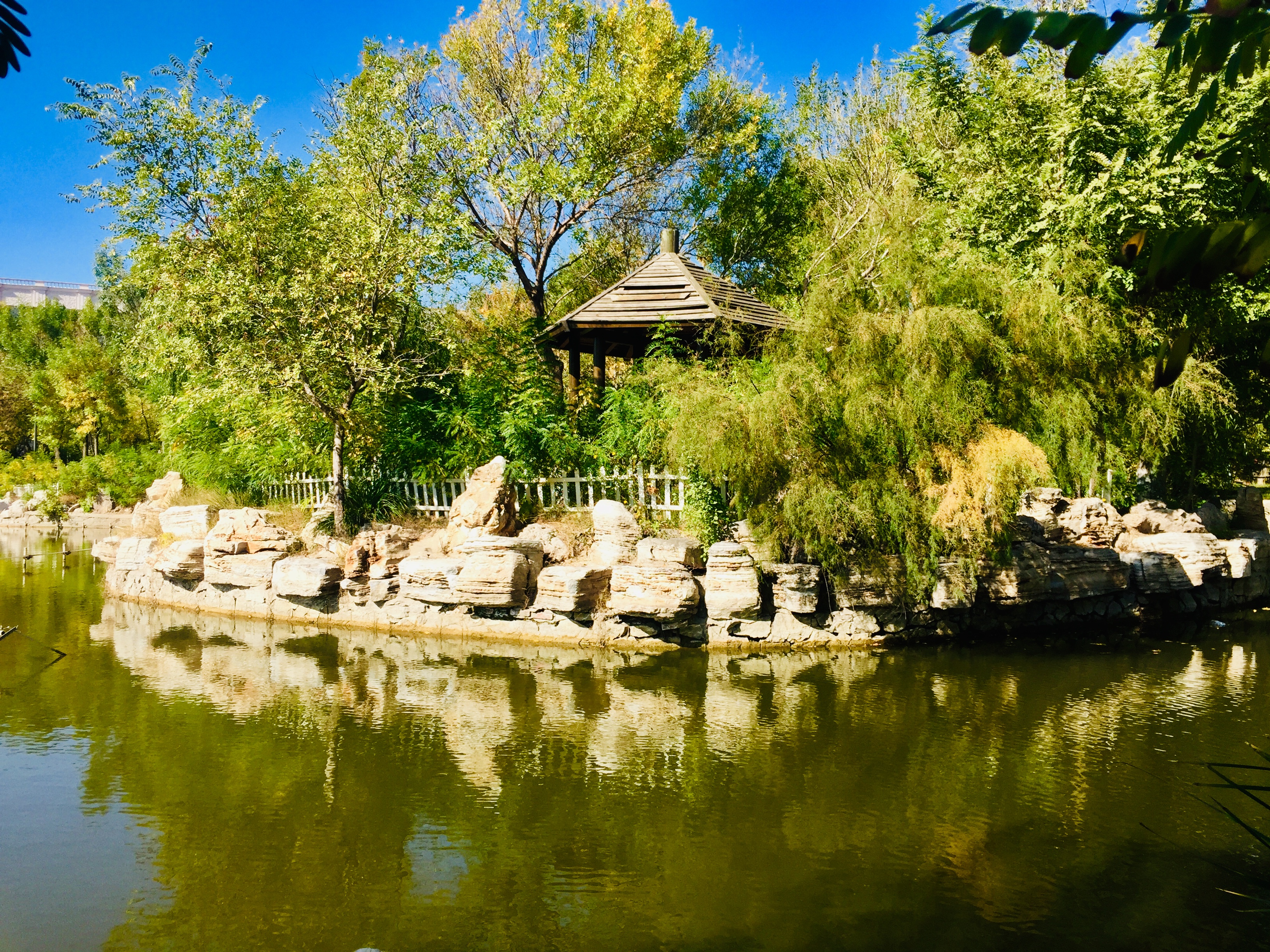 天津森林公园儿童乐园项目介绍,滨海新区适合带孩子玩的公园