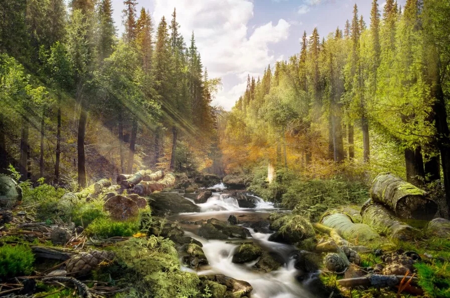 哈尔滨长白山旅游攻略团游,夏季哈尔滨长白山旅行攻略