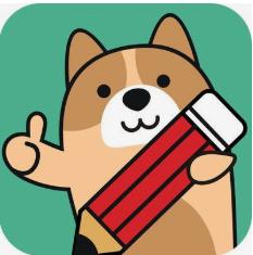 账务处理程序会计基本知识重点,会计新手必备100例