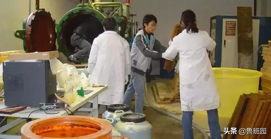 木材的主要缺陷,木材缺陷有哪些