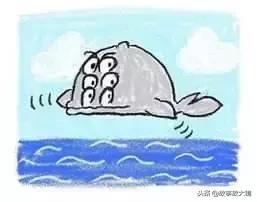 盘点那些你一定在搜的歌,盘点那些想听又找不到的歌