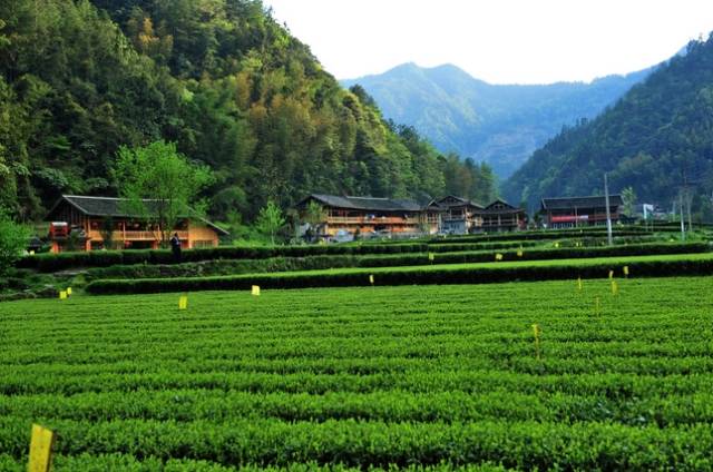 五一武汉市周边游,五一武汉周边短途旅游推荐