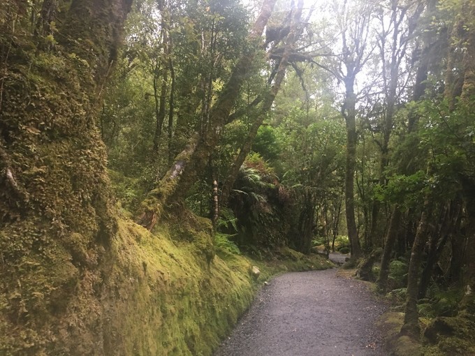 让你不用出门欣赏到美丽的风景,让你不出门你会待几天