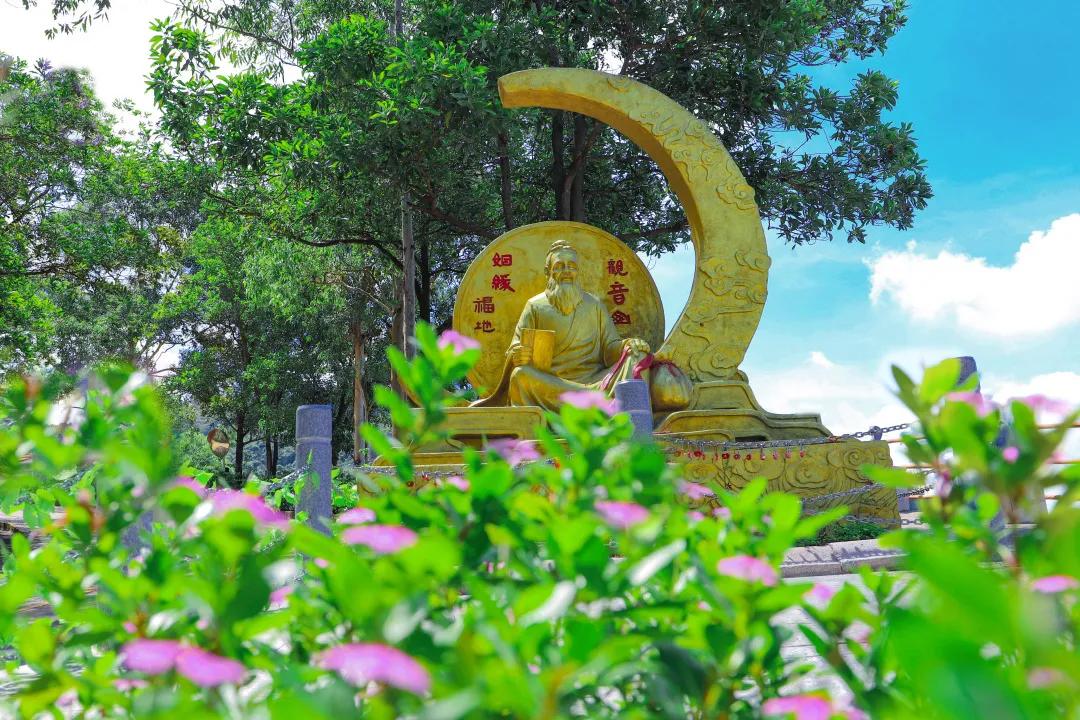 云雾缭绕的观音山人间仙境,云游观音山