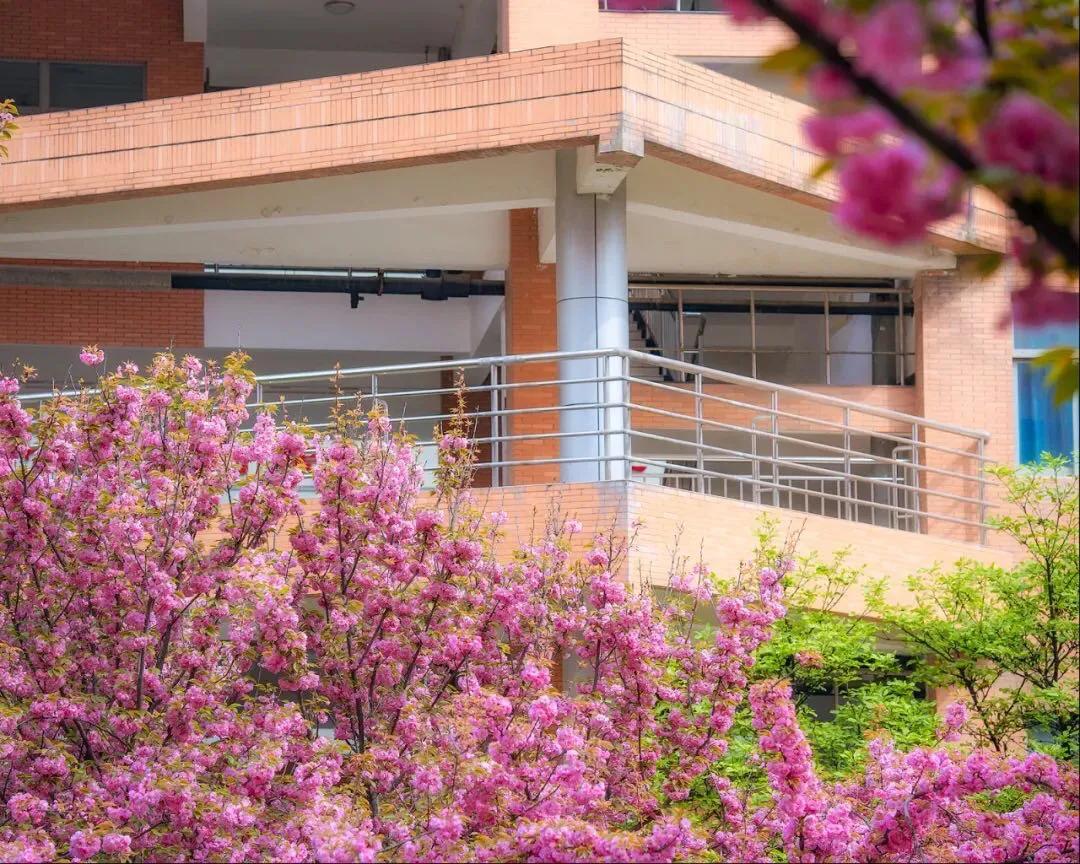 在西安读书是什么样的体验,在西安高中怎么选择