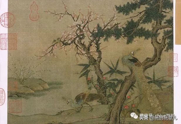 中国画孔雀名作,中国名画孔雀