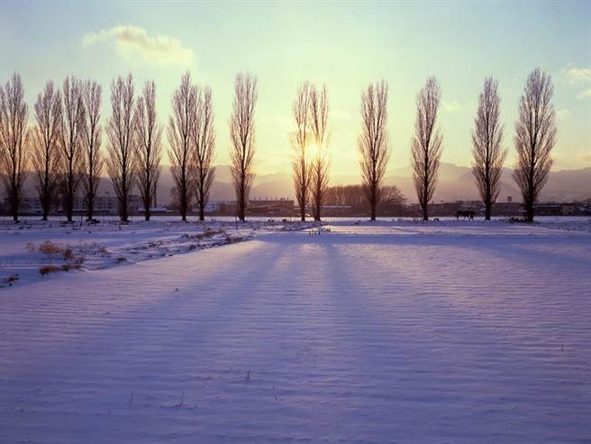 北海道快40个景点你全去过吗？快记笔记！这5个地方超适合过年
