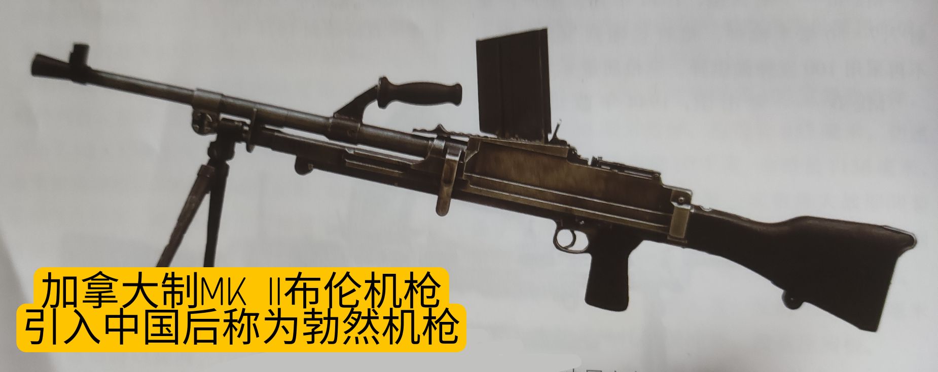 英国枪械发展史,英国枪械大全视频