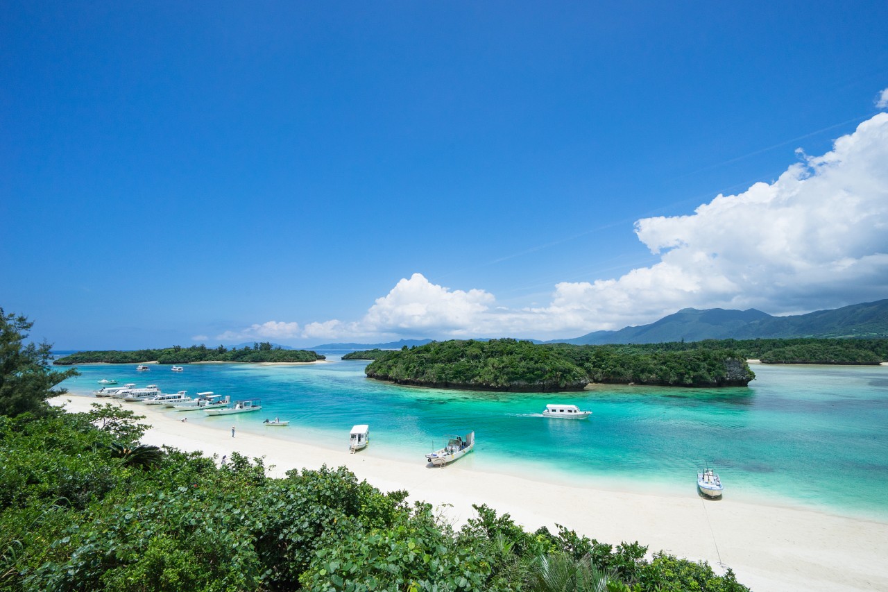 翡翠到底什么样的好看,40张图告诉你真正的翡翠长啥样