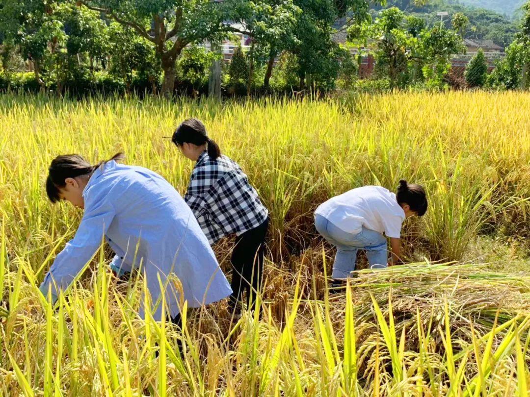 13000㎡运动餐厅，包足球场，打卡网红玻璃屋，集装箱，涂鸦楼梯