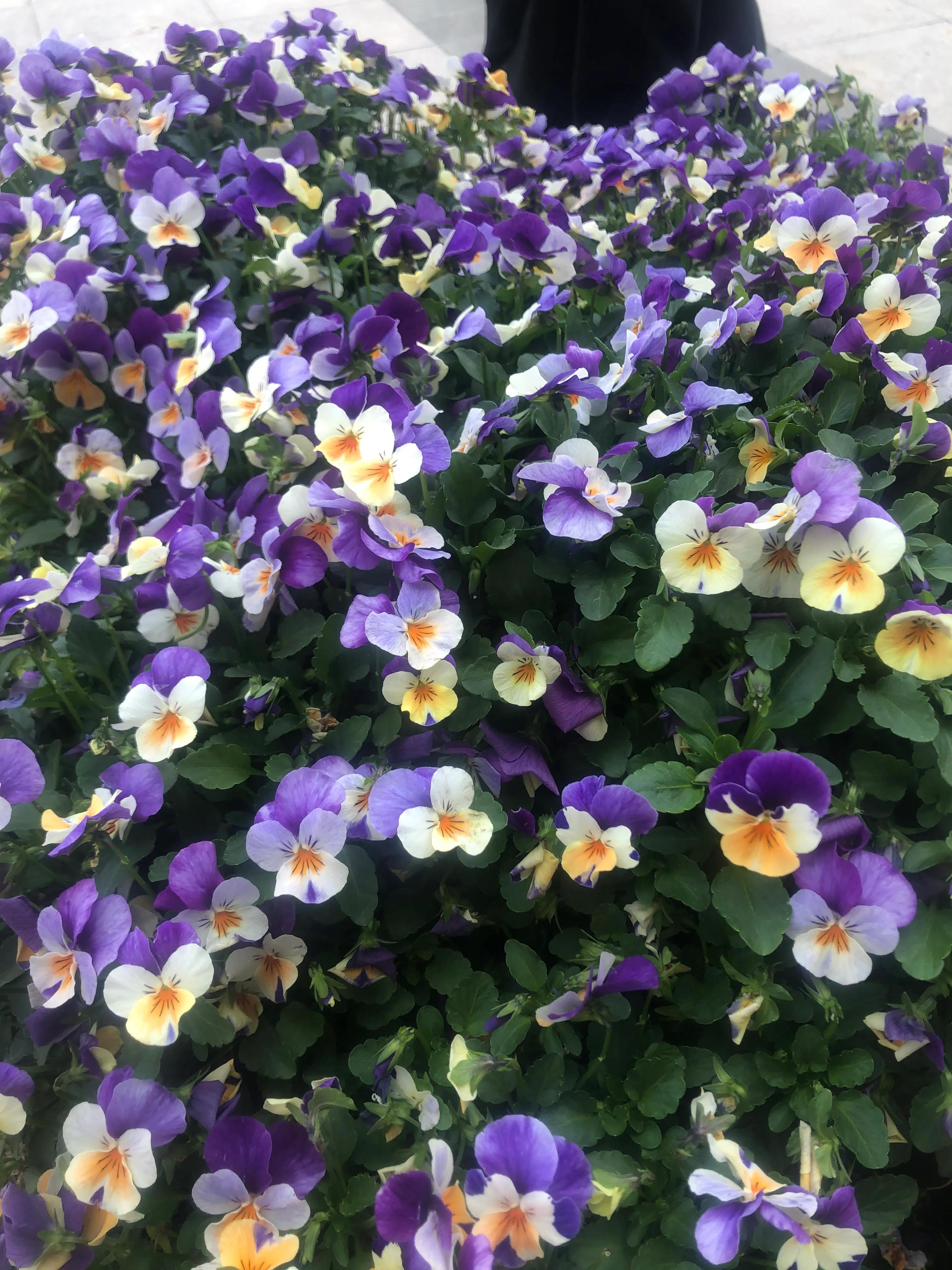 生活记事范文,生活札记文字