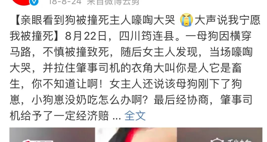 辟谣不能养猫,辟谣猫狗