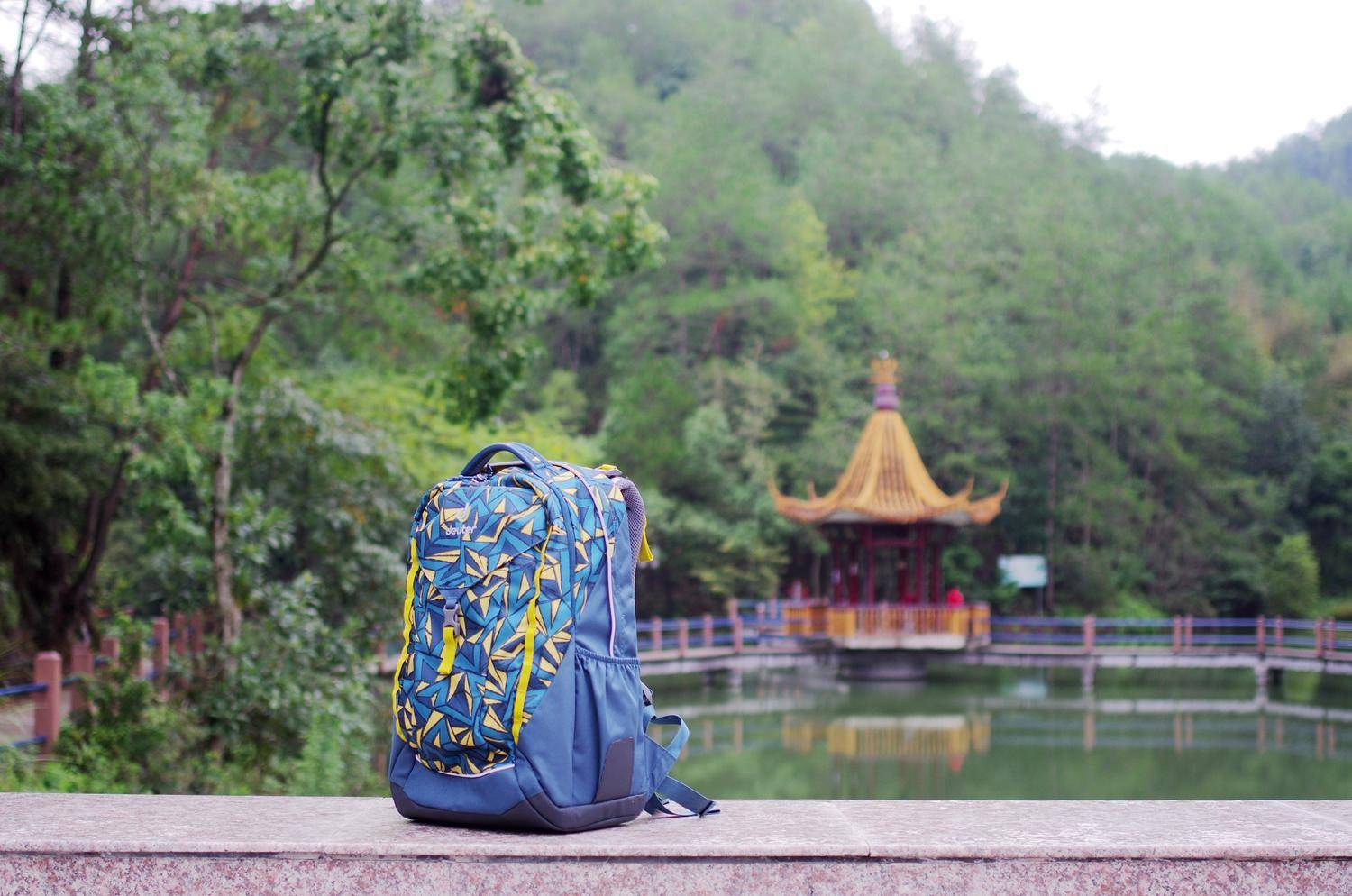 澶氱壒鎶よ剨涔﹀寘娴嬭瘎 (寰峰浗scout鍎跨鎶よ剨涔﹀寘)