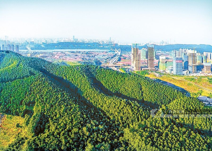 广西山清水秀是个好风景,广西山清水秀