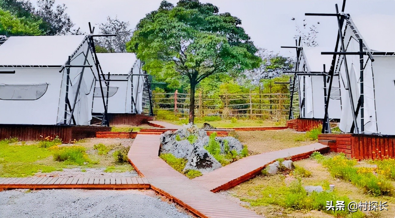 重庆自驾游免费露营地,冬季露营旅游重庆