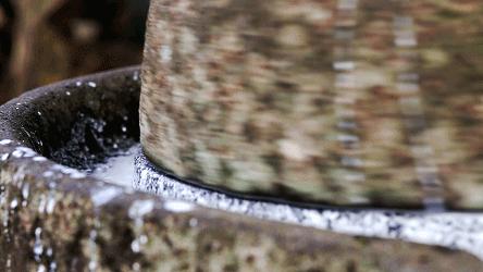 海南到底有多少种buǎ？恐怕连海南人自己都数不清……