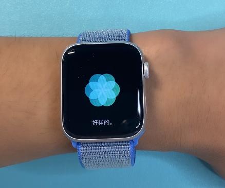 「药房刘老板」AppleWatchS5评测:你的私人健康顾问