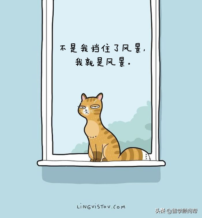 猫主子的日常暹罗猫铲屎官的乐趣,猫吸猫主子的日常