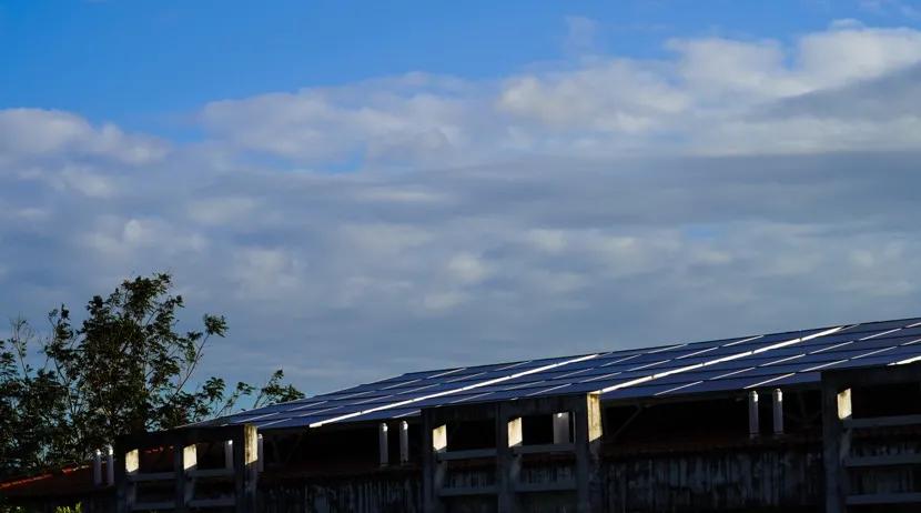 静谧角落香云纱,静谧角落视频