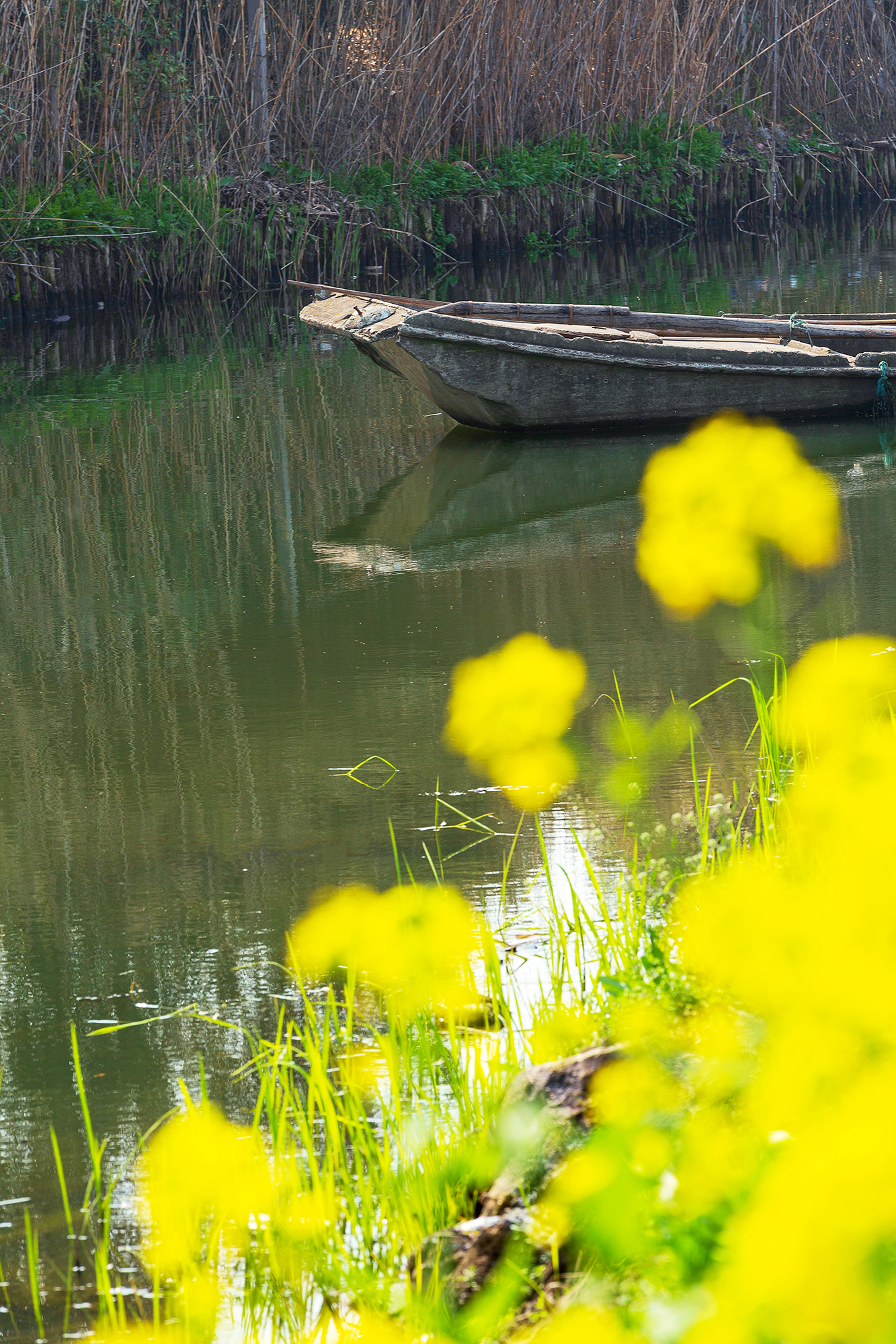 刚好我也喜欢你暮回全文阅读,刚好我也喜欢你小说完整版