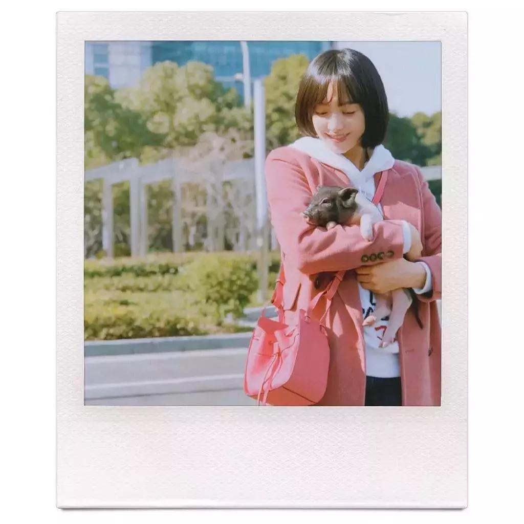 美式复古胶卷ins风,最新复古胶片风