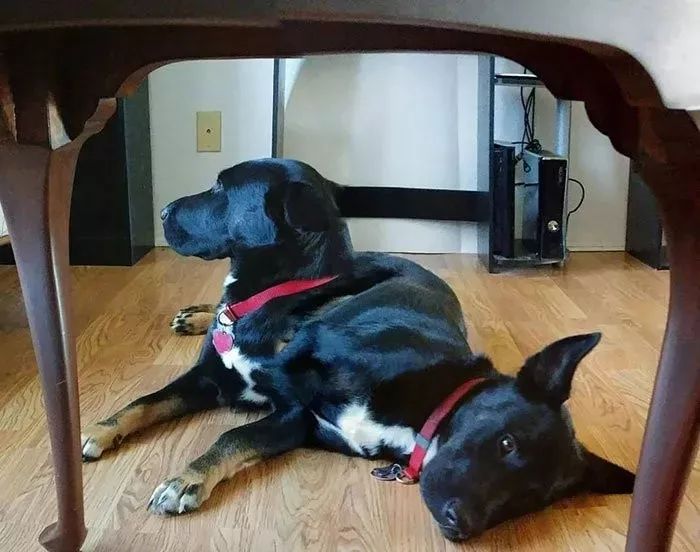 全景模式拍照教程,最丧心病狂的拍摄过程