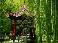 南阳市淅川县的简介概况,河南南阳淅川县区域及概况