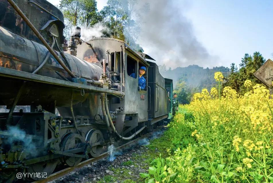 戴口罩的春节,戴口罩的冬天过去了