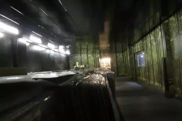 世界很大我想去看看原创,世界很大我想去看看视频