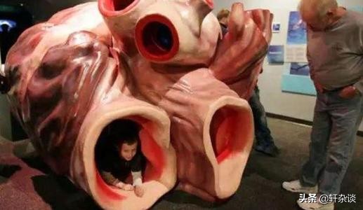 世界上有哪些最大的巨型动物,地球上有史以来最大的动物排名