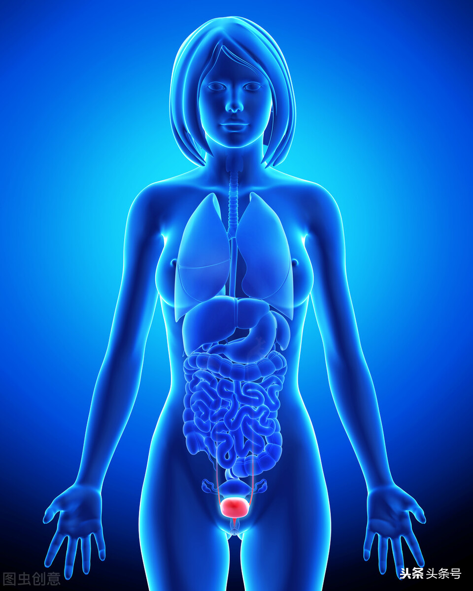 阳气与水在人体内的相互作用与关系