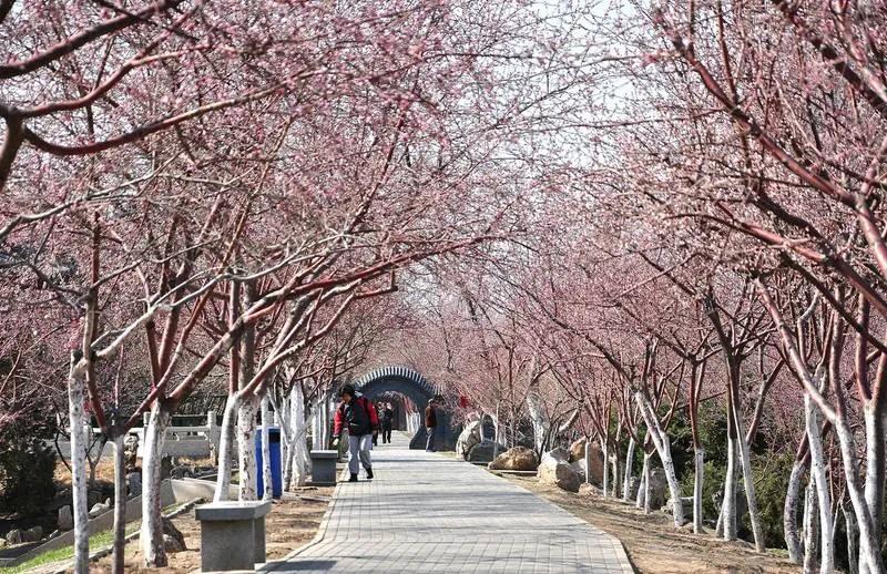 天津红桥区有什么旅游胜地,天津红桥区十大景点