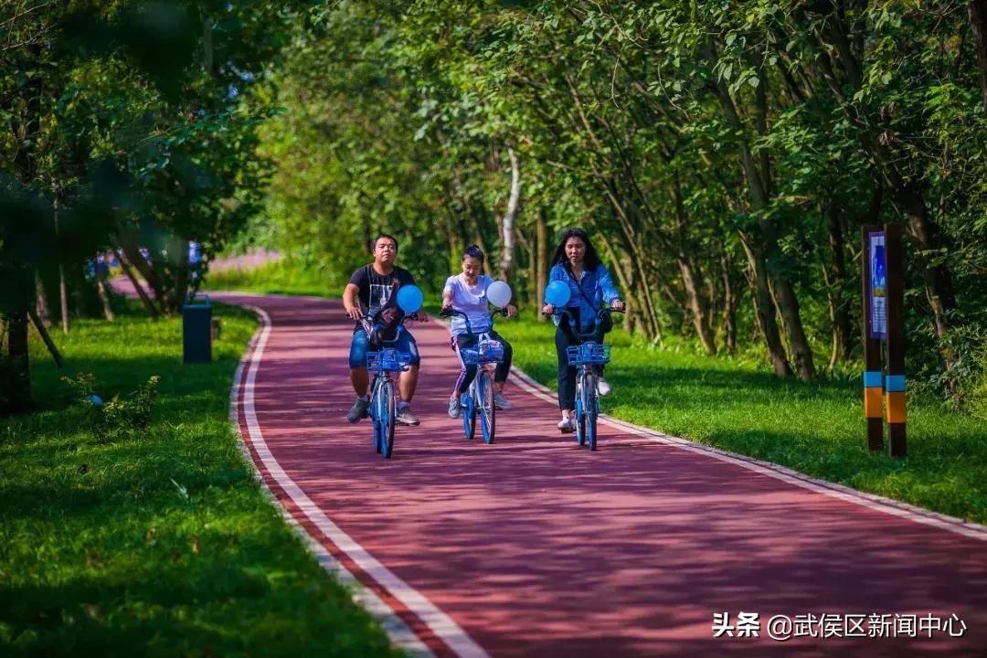 秋分是秋高气爽稻花飘香的季节,秋分秋实丹桂飘香