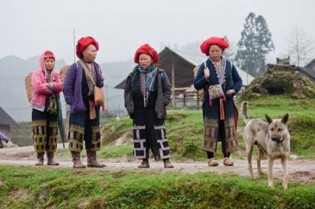 农村俗语一年打两春,农村俗语春打五