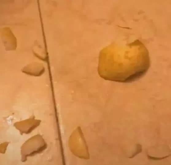 狗狗偷吃被逮个正着,狗狗偷吃罐头主人拿刀吓它