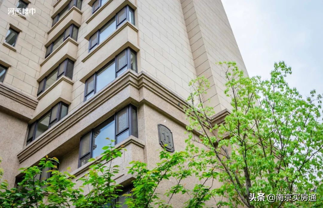 河西中新豪宅全景图,河西中心豪宅内部图片