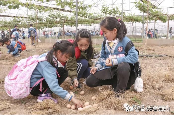 美丽乡村的盈利项目,美丽乡村项目的成功案例