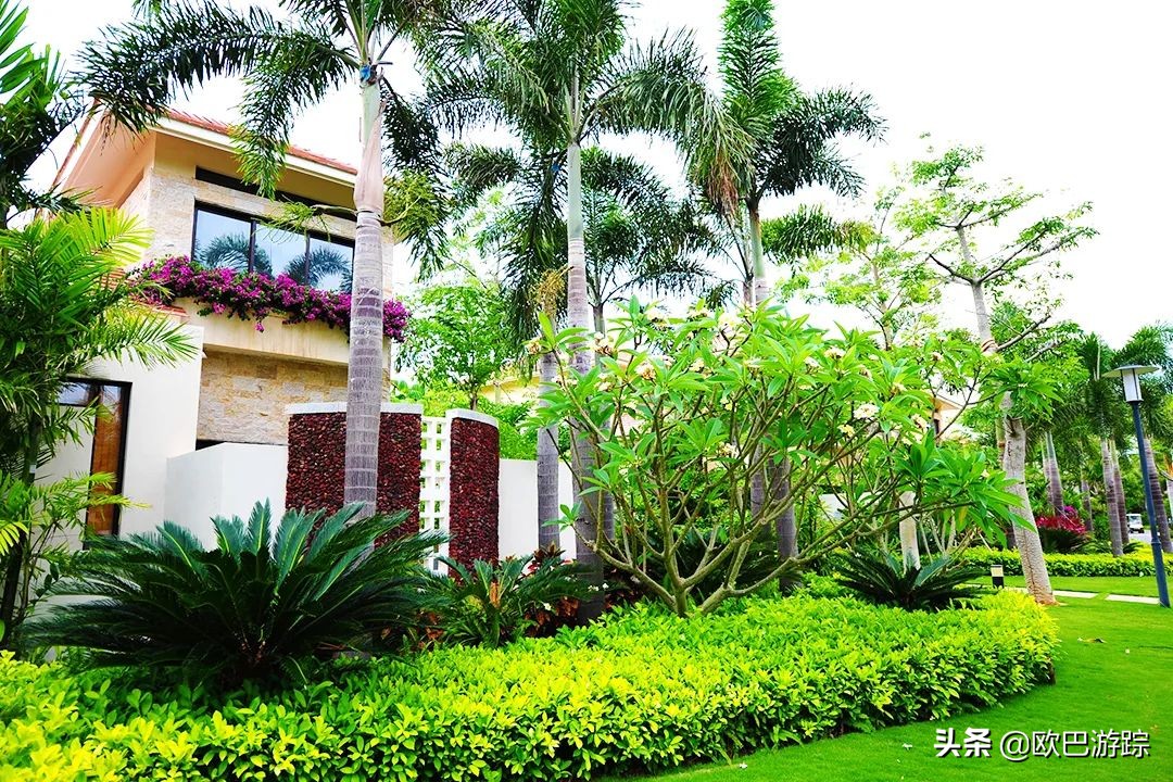 三亚维景国际别墅度假酒店简介,三亚亚龙湾维景国际度假酒店全貌