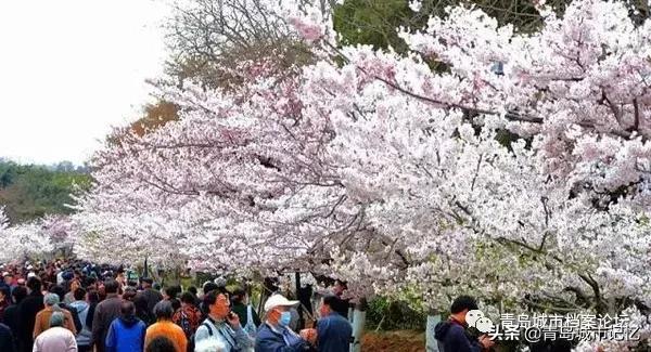 青岛岛城记忆,青岛记忆纪念馆