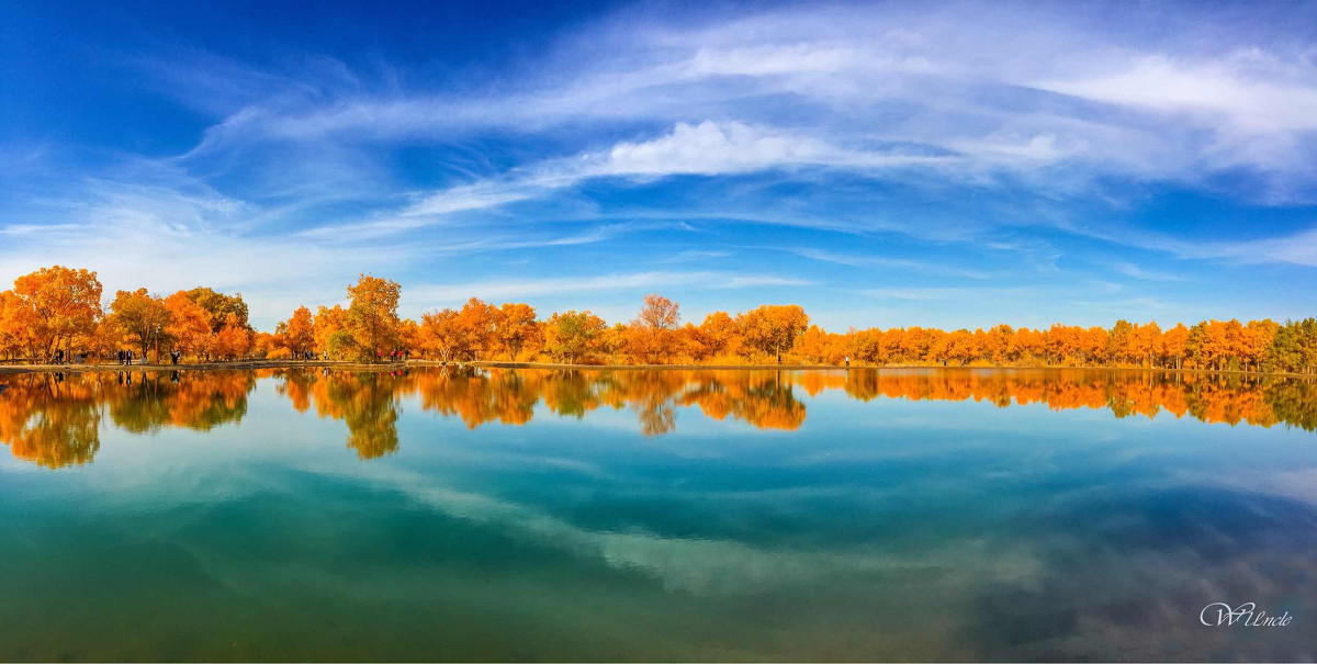 额济纳旗住宿一般多少钱,国庆额济纳旗胡杨林攻略