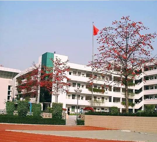 2020年深圳中考公立普高,深圳中考对新高中学校有什么要求