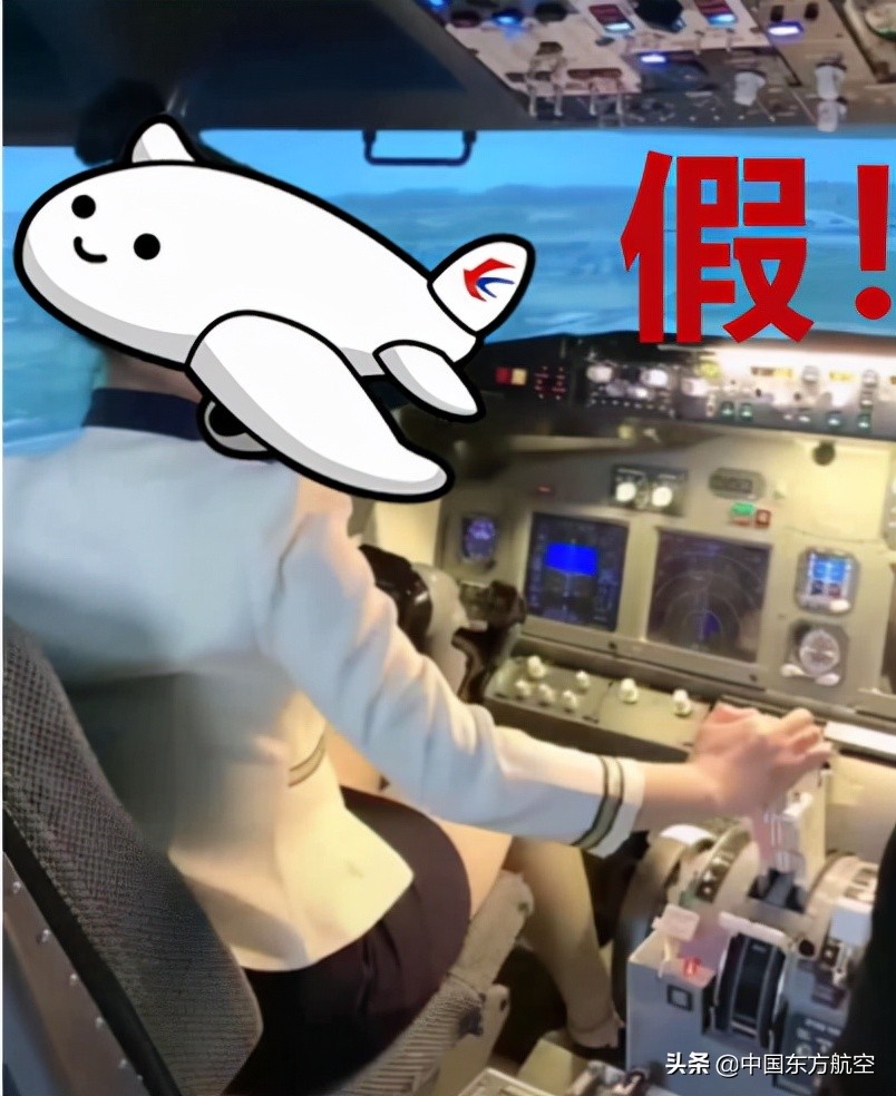 飞行员打假事件,飞行员评判标准