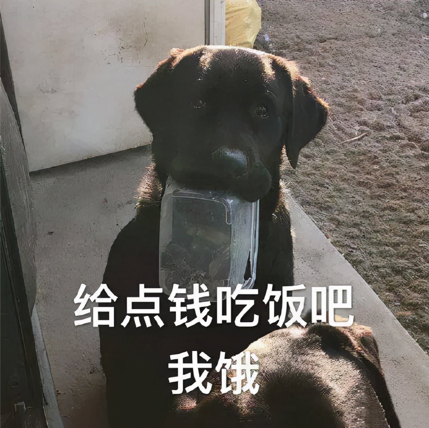 大家都误会了，清华学子也想实现“财务自由”