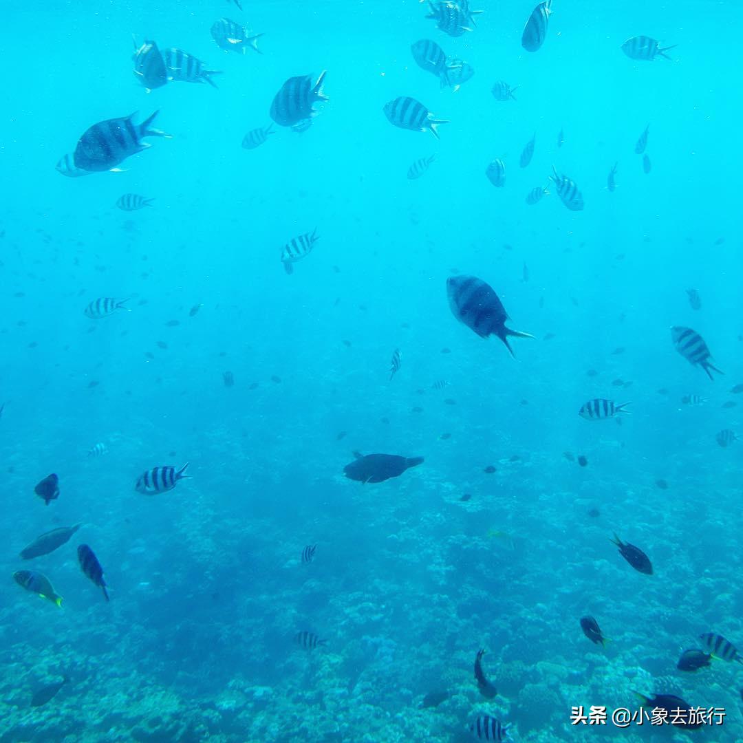 8月底冲绳旅游攻略最佳景点,日本冲绳海岛旅游攻略